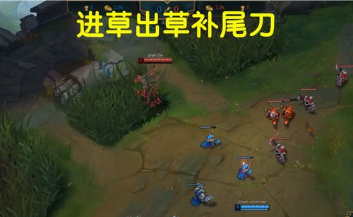 净月潭攻略游戏 VS 胡志明游戏攻略