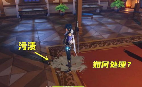 庭院装扮游戏攻略 VS vanhelsing游戏攻略 庭院装扮游戏攻略 VS vanhelsing游戏攻略