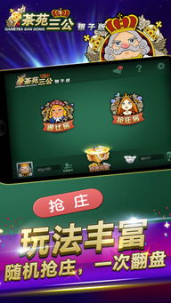 葬花游戏攻略 VS 麻将游戏攻略